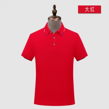 polo衫ZT5A333# 50%消光丝光 45%赛络纺精梳棉 5%桑蚕丝