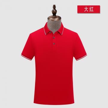 polo衫ZT5A666#  50%消光丝光 45%赛络纺精梳棉 5%桑蚕丝